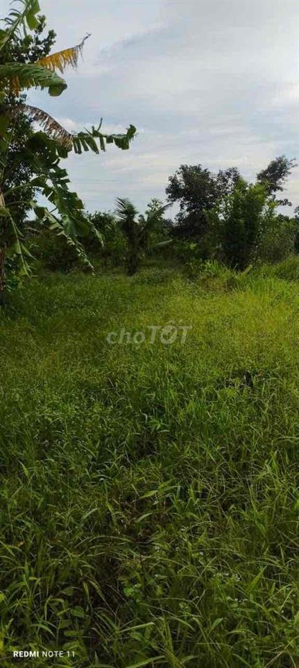 bán nền nhà gần chợ cái chanh