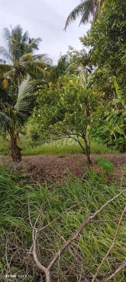 bán nền nhà gần chợ cái chanh