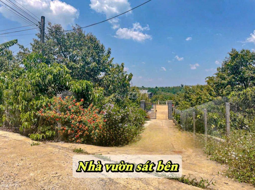 Đất thổ cư Xã Hòa Ninh - Di Linh Cách chợ quốc lộ 7km