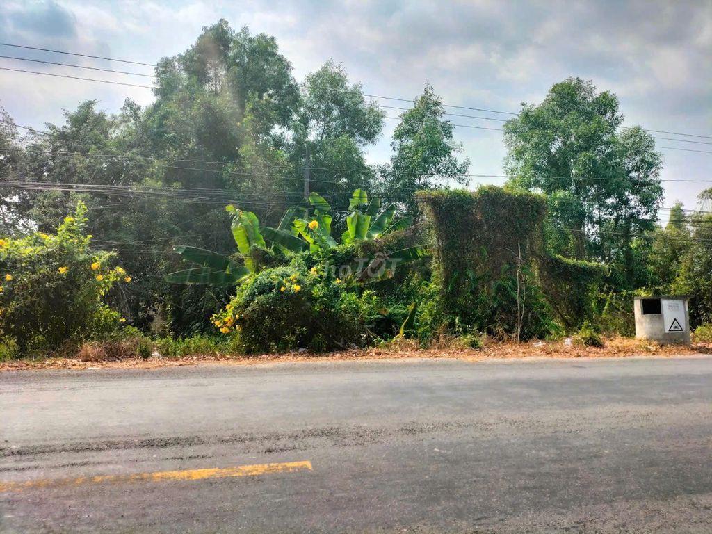Bán đất ở 
