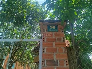 Cho thuê vườn xoài thái & cát hòa lộc 3000m2 gần kdl Núi Bà Đen