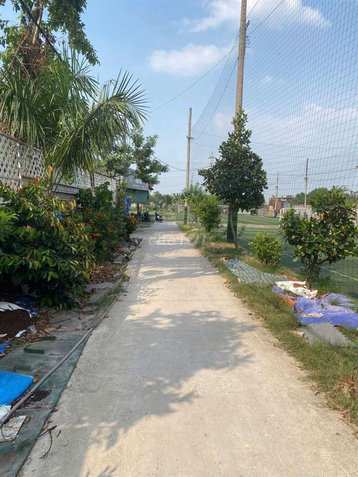 cho thuê đất rộng giá rẻ