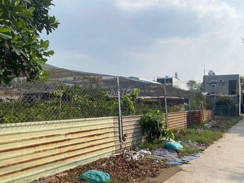 cho thuê đất rộng giá rẻ