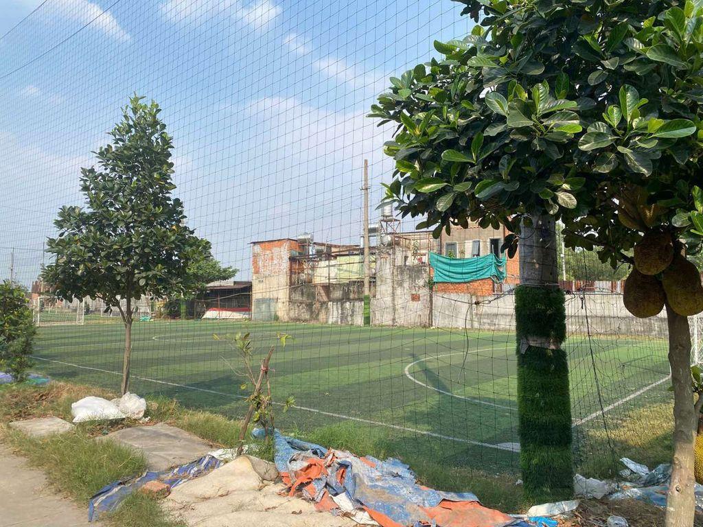 cho thuê đất rộng giá rẻ