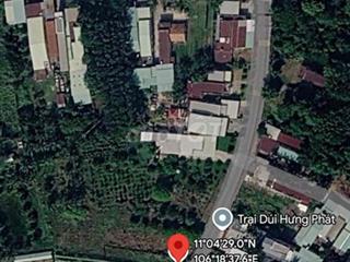 cần bán gấp đất