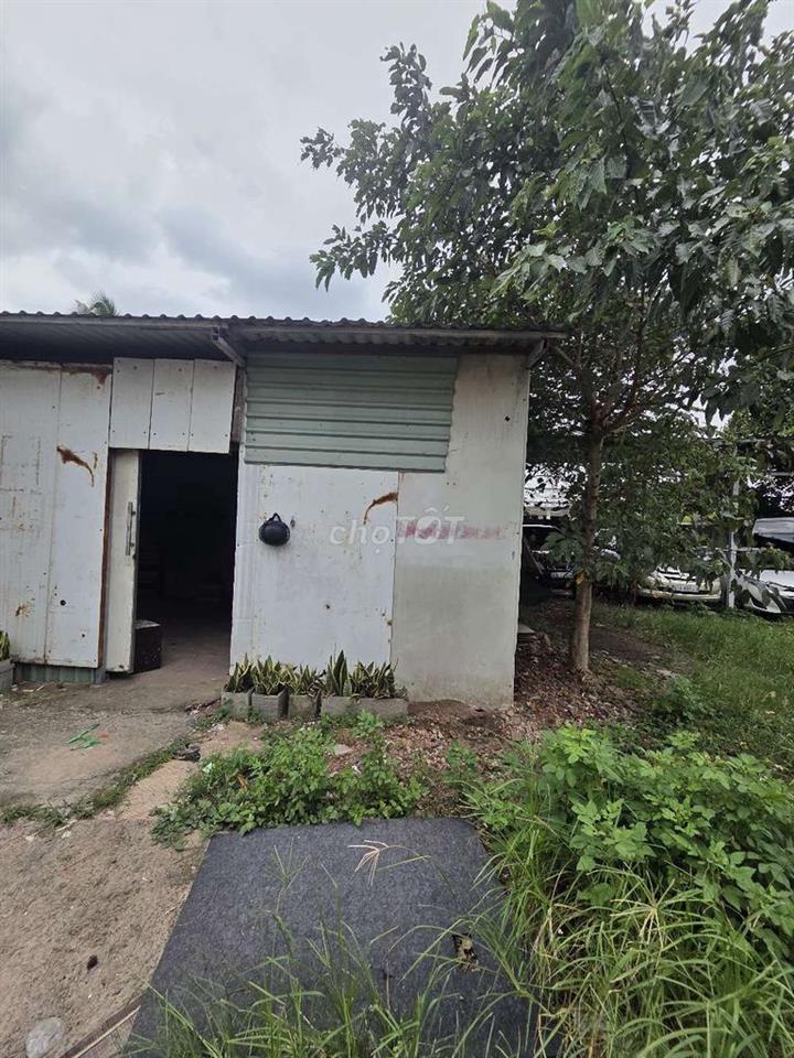 Nhà trọ vườn cho thuê