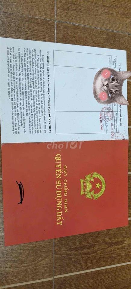 CHÍN CHỦ CẦN BÁN ĐẤT K ĐƯỜNG BÀ BANG NHÃN