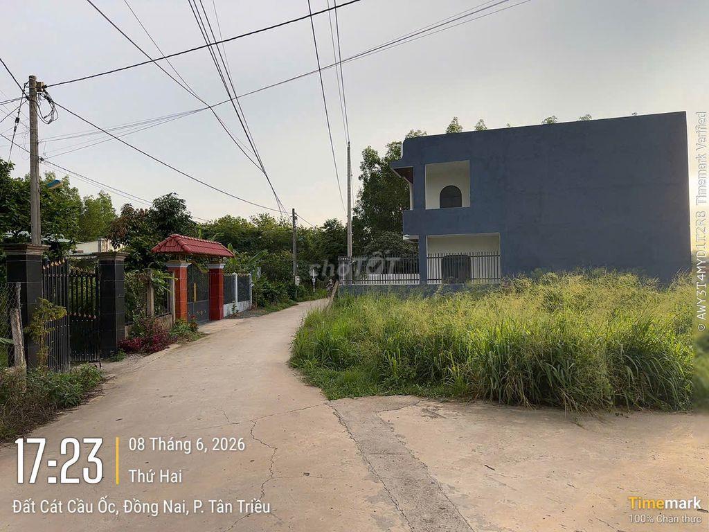 Đất đường Đất Cát cách Hương Lộ 15 30m, đối diện cây xăng Kim Cương
