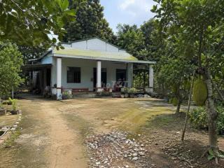 🌸Bán gấp nhà vườn mít 800m2 thổ cư