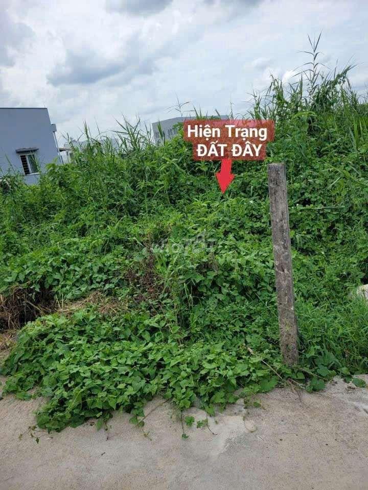 ĐẤT ODT 
mềm : P5  TP TÂN AN- LONG AN.CŨ..
Diện Tích: 103.7mv ODT shr
