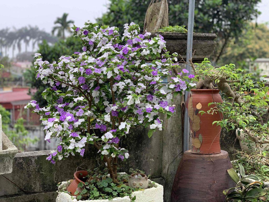 Bán đất có sổ