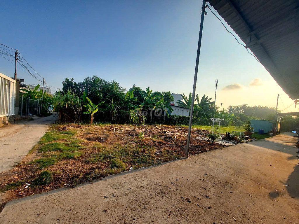 Cho thuê đất rộng, tiện làm quán cafe sân vườn hoặc nhà xưởng 