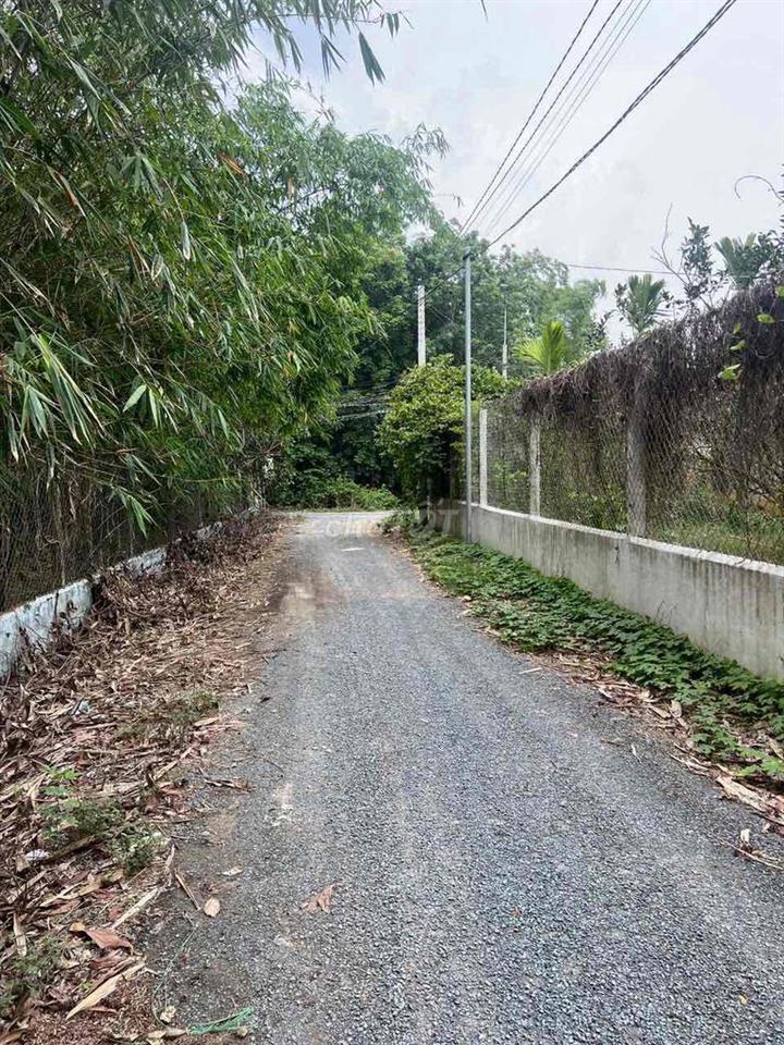 đất vườn cần bán