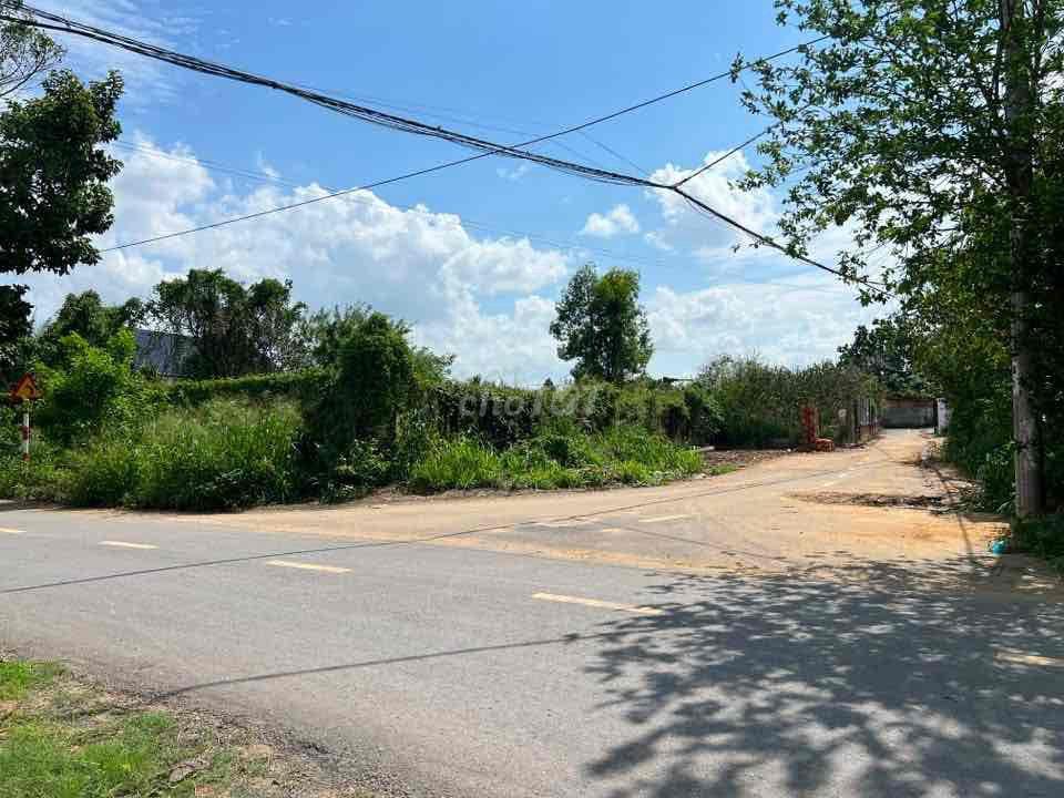đất cần bán