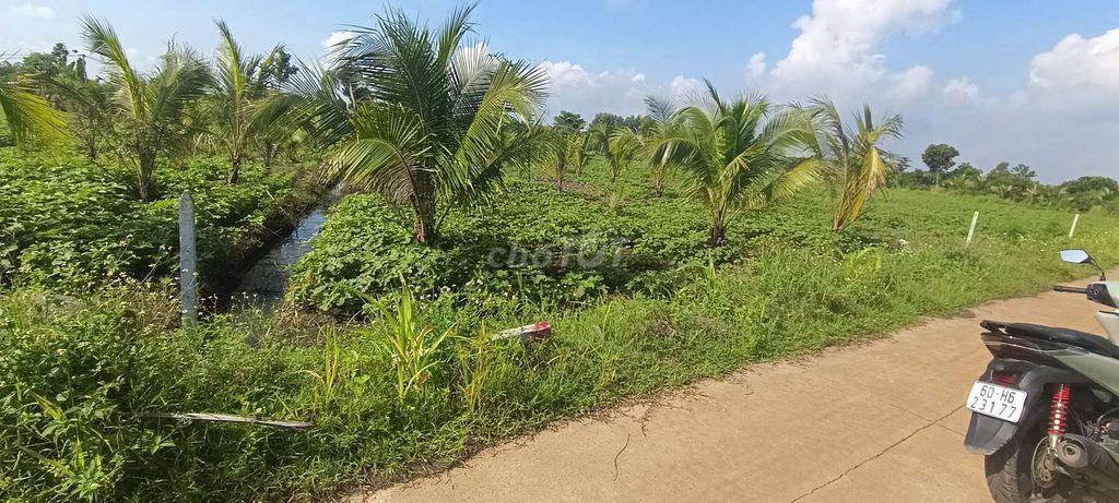 Đất sào 20m mặt tiền bê tông