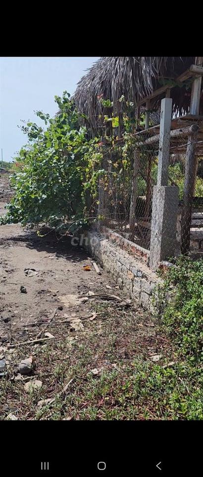 Bán Đất mặt tiền đường Bờ Đê phường 12 (Phường Phước Thắng), Vũng Tàu