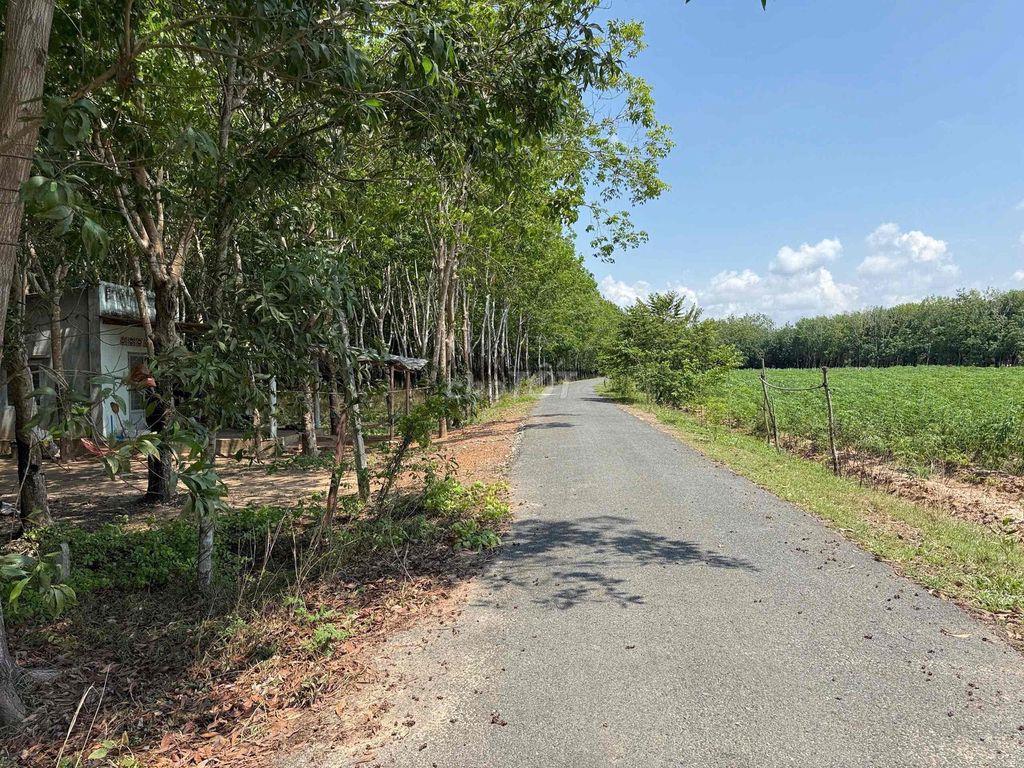 Đất thổ MT đường nhựa gần chợ Bến Sỏi, Tây Ninh