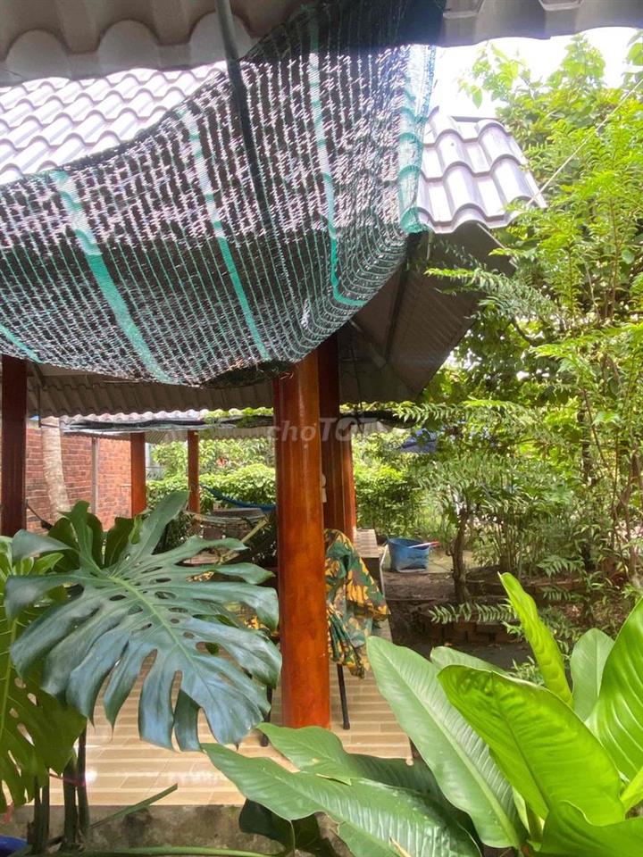 Bán gấp đất Bến Tre mặt tiền đường 30/4 – Thị trấn Châu Thành – Giá ch