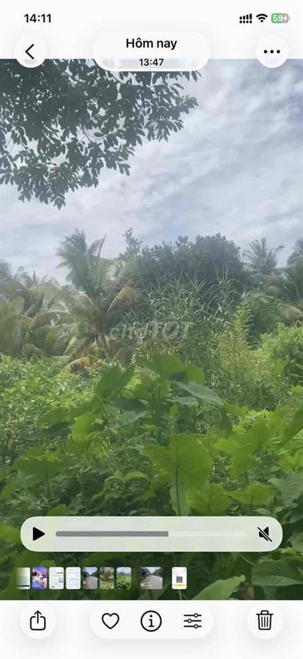 🌿 ĐẤT VƯỜN GẦN 7 CÔNG – GIÁ CHỈ 2,7 TỶ 🌿