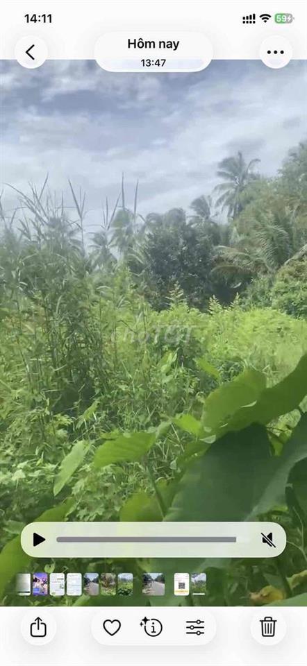 🌿 ĐẤT VƯỜN GẦN 7 CÔNG – GIÁ CHỈ 2,7 TỶ 🌿