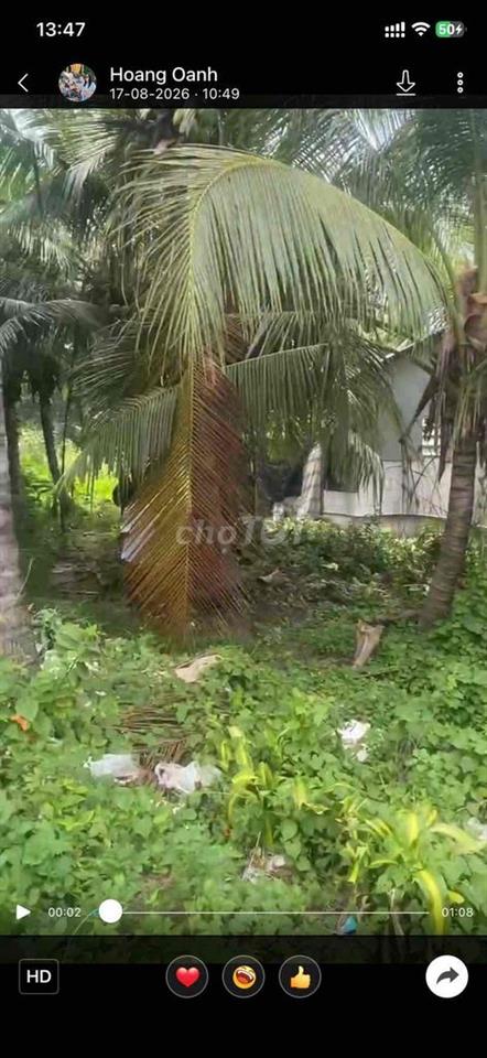 🔥 GIÁ RẺ – ĐẤT KHU CÔNG NGHIỆP GIAO LONG – 3.600M² CHỈ 7,5 TỶ 🔥