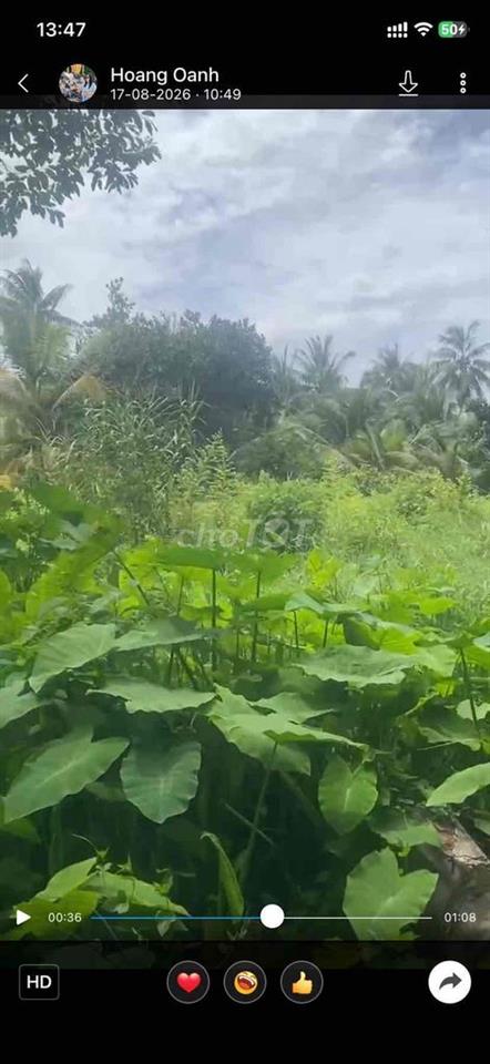 🔥 GIÁ RẺ – ĐẤT KHU CÔNG NGHIỆP GIAO LONG – 3.600M² CHỈ 7,5 TỶ 🔥