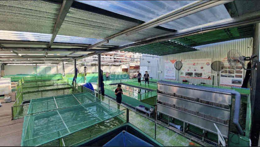 cần bán lô đất 525.6m2 Nguyễn Văn Linh