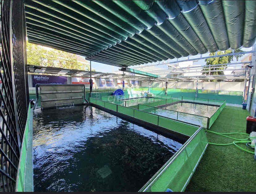 cần bán lô đất 525.6m2 Nguyễn Văn Linh