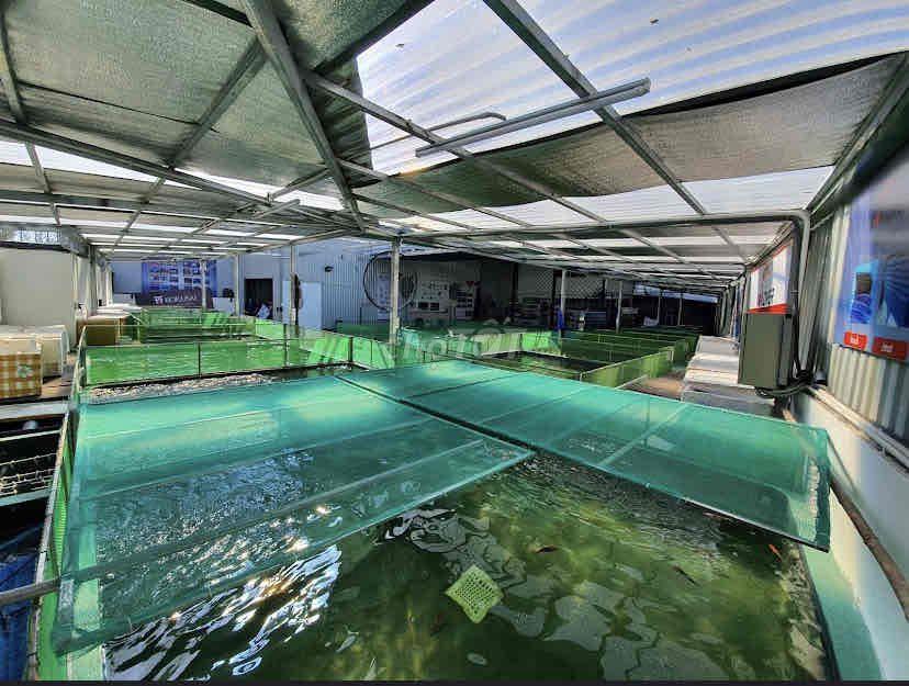 cần bán lô đất 525.6m2 Nguyễn Văn Linh