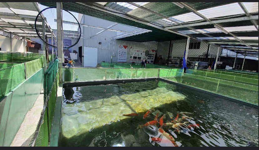 cần bán lô đất 525.6m2 Nguyễn Văn Linh
