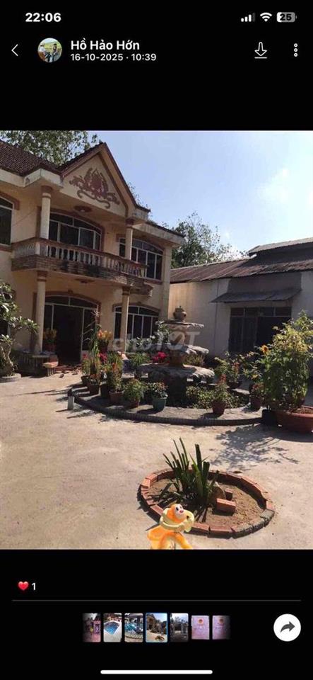 Cần Bán Gấp