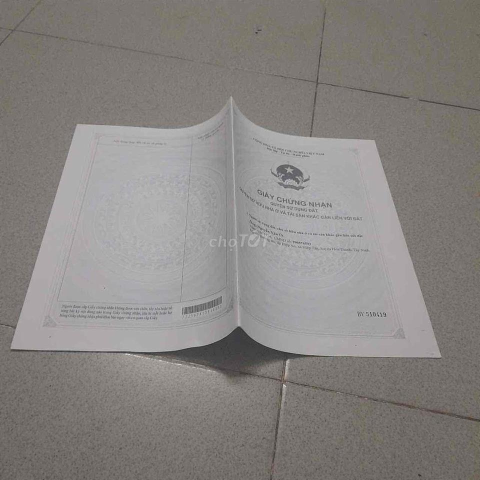 Đất trong mit đang thu hoac san luong dieu dieu