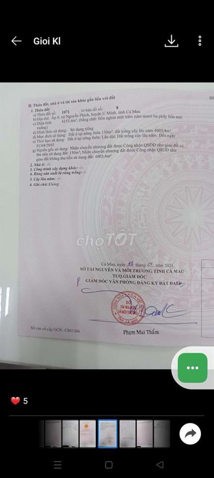 đất vườn dừa