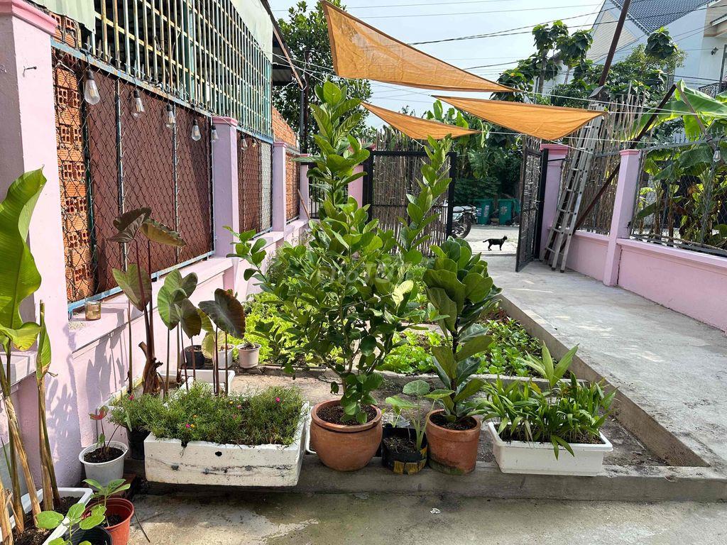 Nhà cho thuê ở Thủ dầu một.