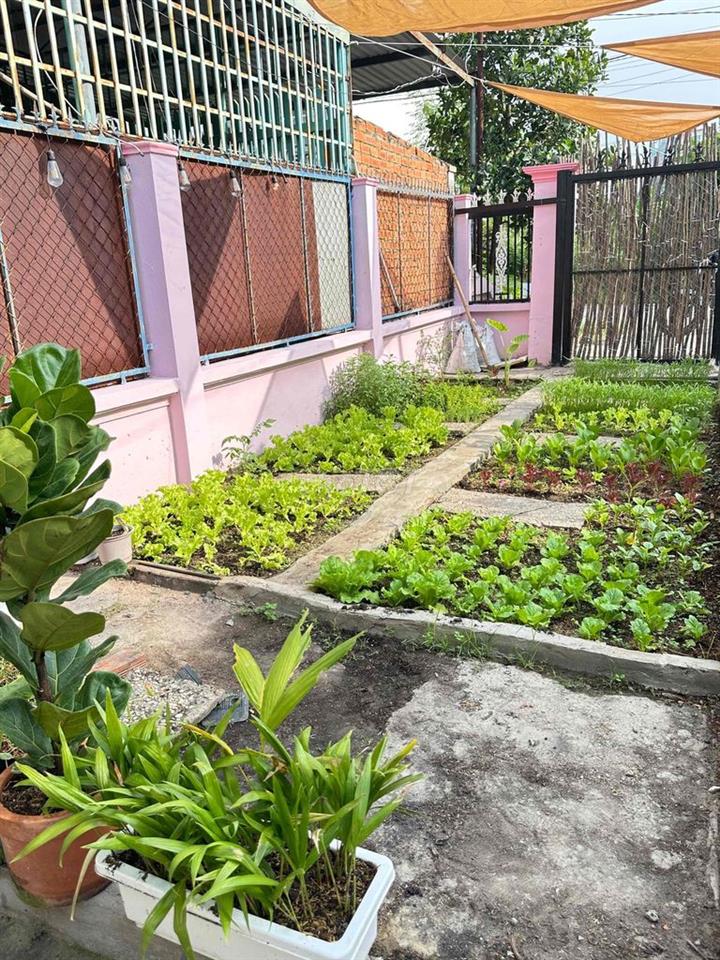 Nhà cho thuê ở Thủ dầu một.