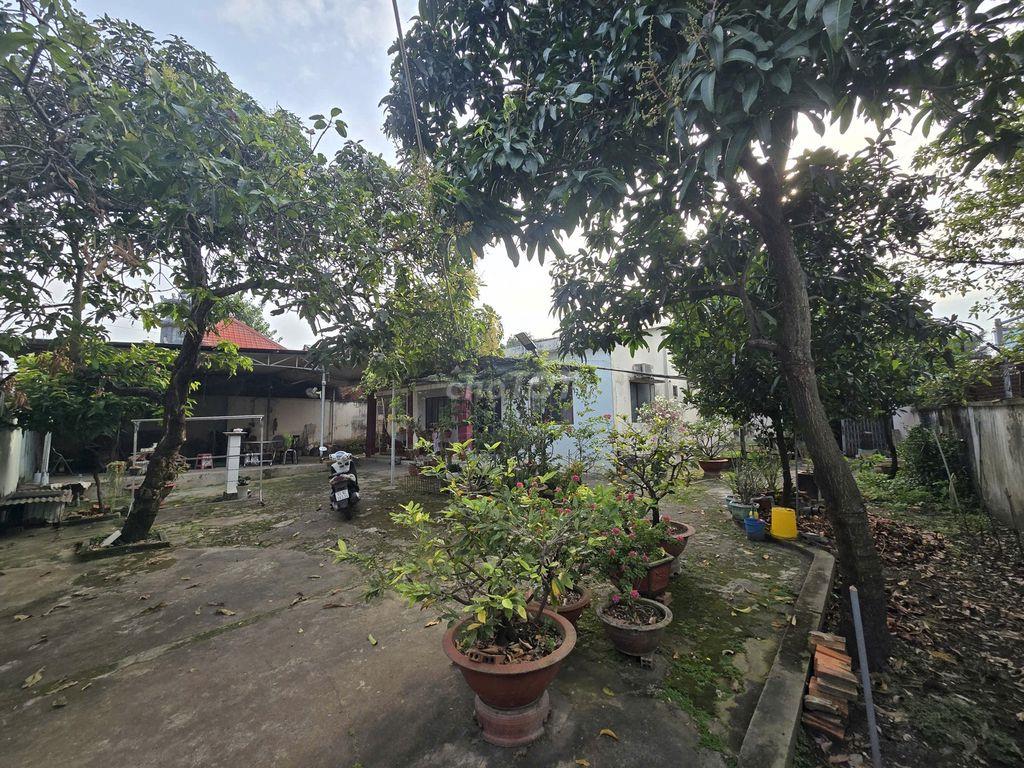 Bán đất chính chủ . 
