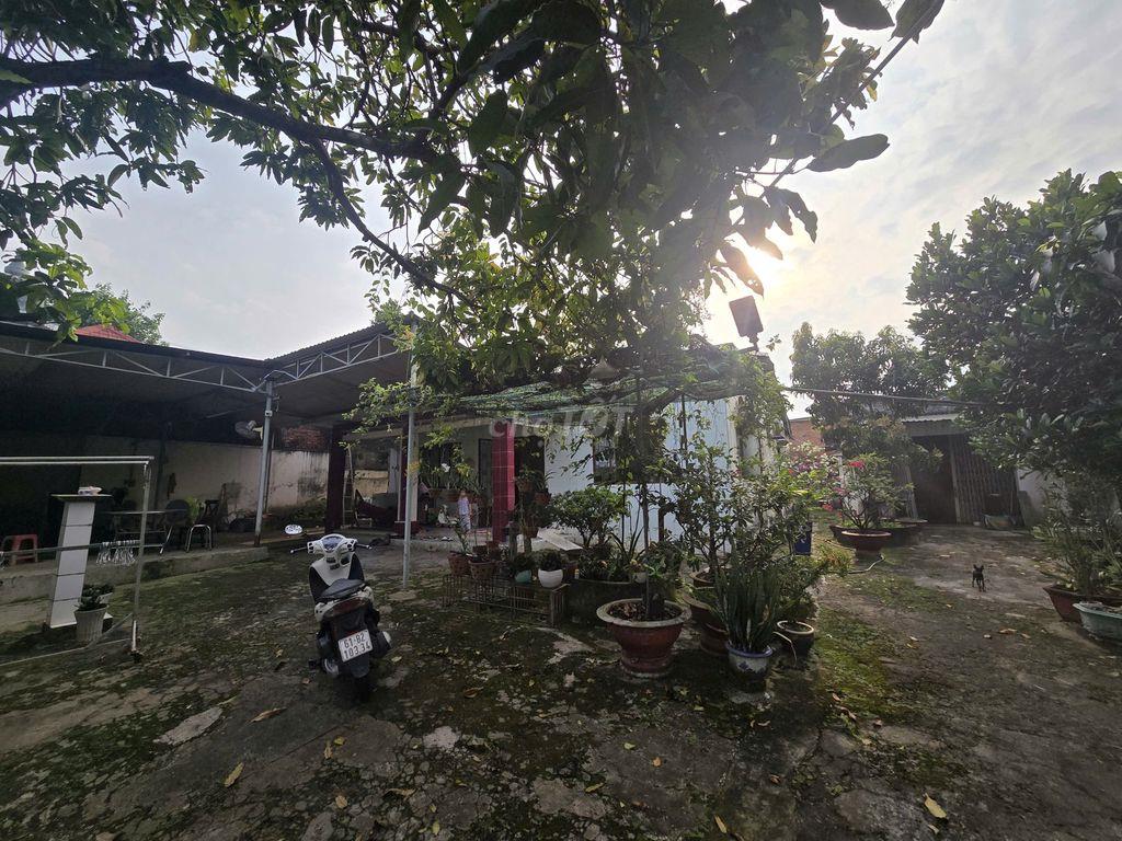 Bán đất chính chủ . 
