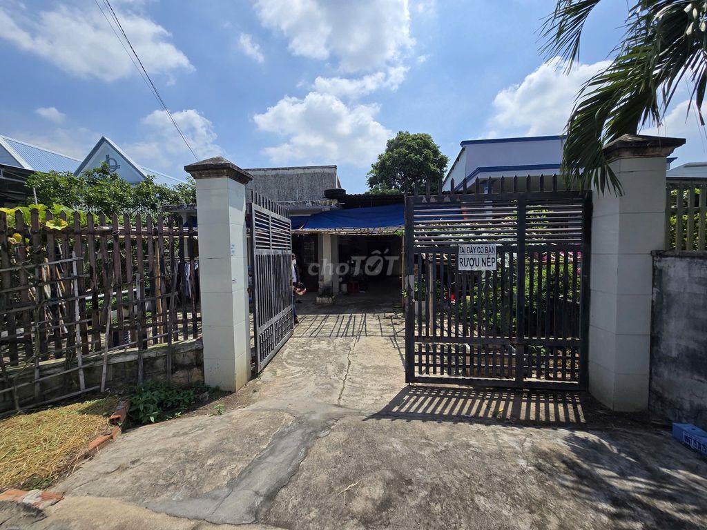 Bán đất biệt thự mặt tiền đường Tuệ Tĩnh, Phường Bà Rịa, Tp. HCM