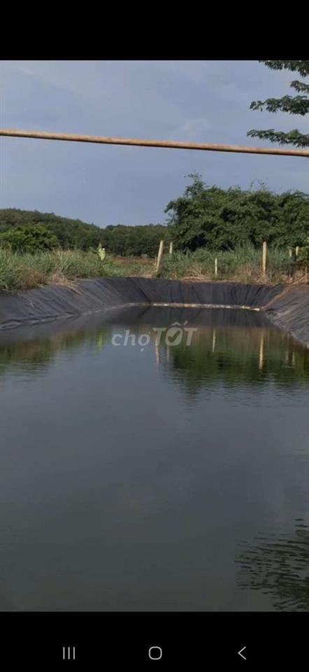 Xã Tân Thành .TP Đồng Xoài .Đất cách QL 14 chỉ 2km