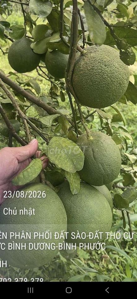 Xã Đồng Tiến Huyện  Đồng Phú Tỉnh Bình Phước