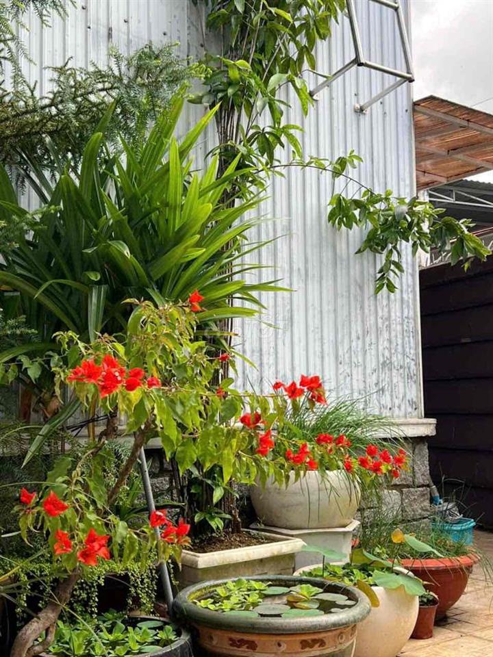 nhà đẹp bảo Lộc