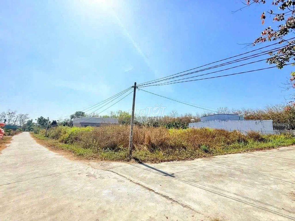 CHỦ NGỘP CẦN RA GẤP ĐẤT NHÀ VƯỜN