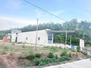 CHỦ NGỘP CẦN RA GẤP ĐẤT NHÀ VƯỜN