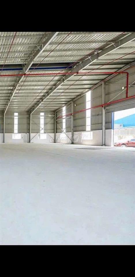 Cho thuê nhà kho và đất trống