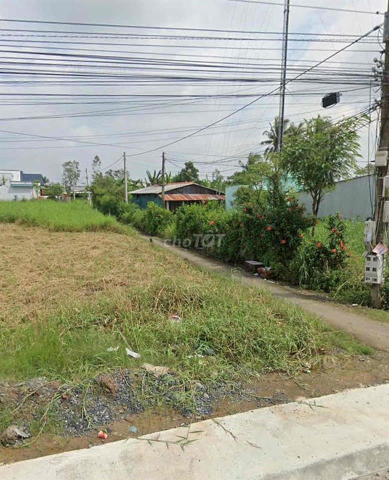 CHÍNH CHỦ BÁN ĐẤT 1.827,3M² GÒ CÔNG ĐÔNG – SỔ RIÊNG, GIÁ 1,5 TỶ