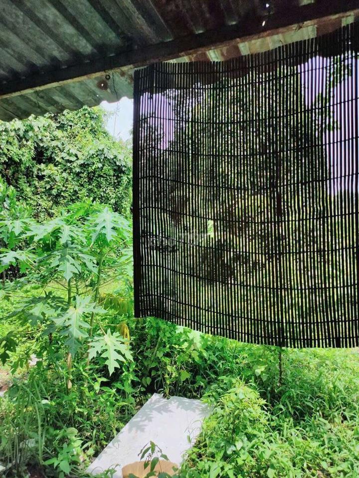 Nhà cấp 4 Bình Mỹ Củ Chi
