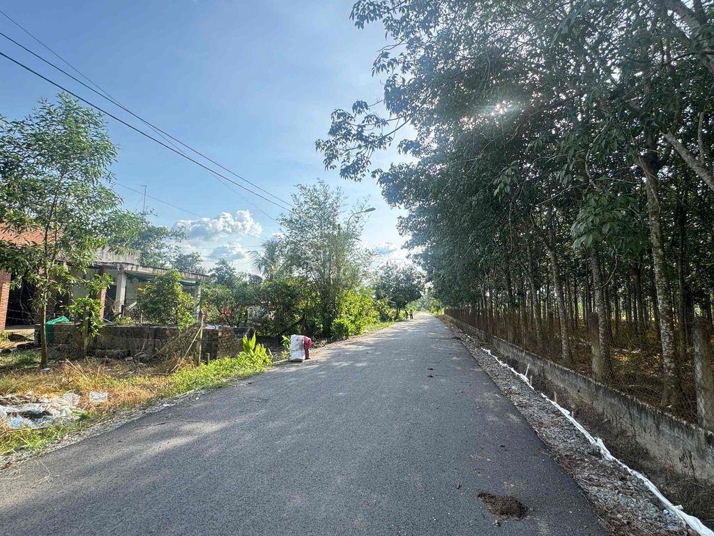 🌿 CHÍNH CHỦ BÁN ĐẤTCỦ CHI SỔ HỒNG RIÊNG, CÓ 300M² THỔ CƯ 🌿  Giữa lúc