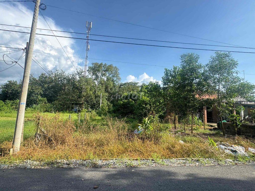 🌿 CHÍNH CHỦ BÁN ĐẤTCỦ CHI SỔ HỒNG RIÊNG, CÓ 300M² THỔ CƯ 🌿  Giữa lúc