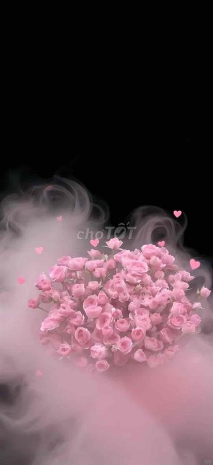 cho thuê nhà sau tu viện khánh an phường an phú đông lh : ***