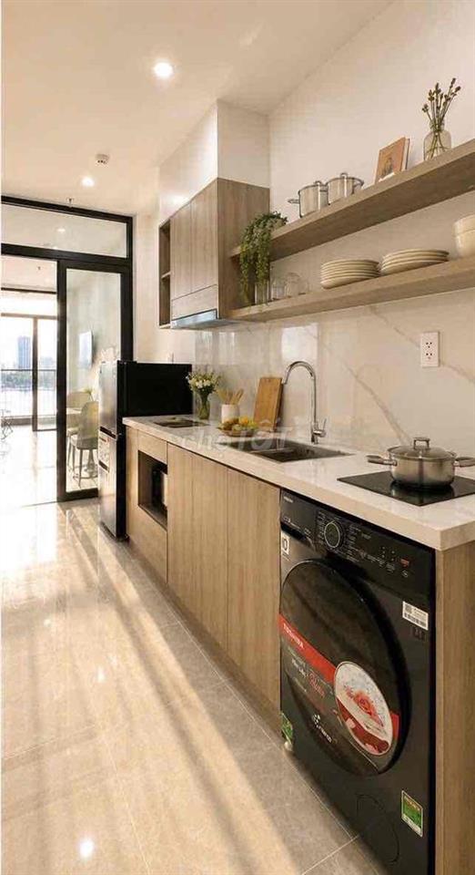 Cho Thuê Căn Hộ Apartment for rent new 100% View Núi Sông 1-2BR Expat